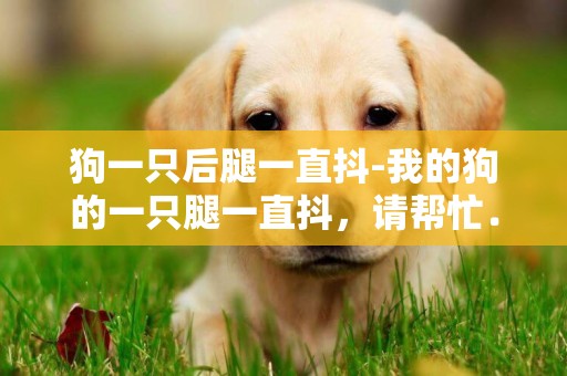 狗一只后腿一直抖-我的狗的一只腿一直抖，請幫忙．