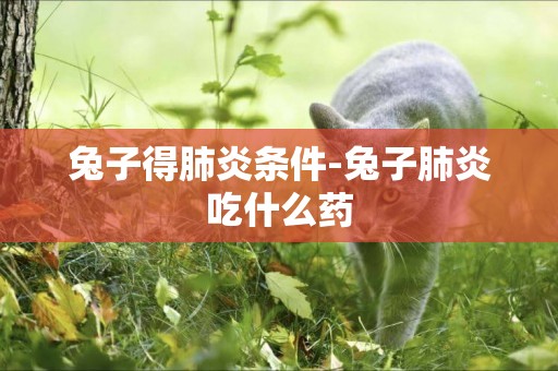 兔子得肺炎條件-兔子肺炎吃什么藥