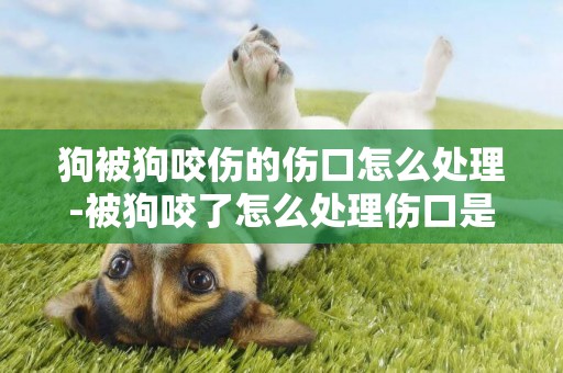 狗被狗咬傷的傷口怎么處理-被狗咬了怎么處理傷口是正確的