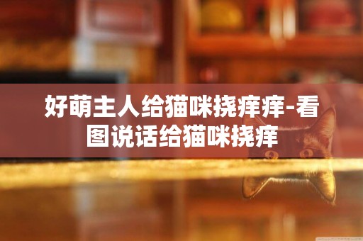 好萌主人給貓咪撓癢癢-看圖說話給貓咪撓癢