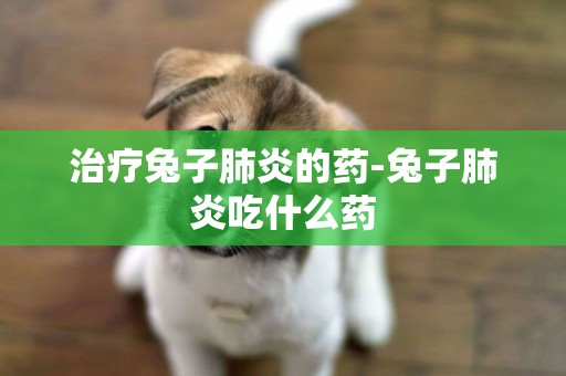 治療兔子肺炎的藥-兔子肺炎吃什么藥