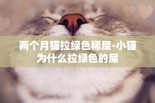 兩個月貓拉綠色稀屎-小貓為什么拉綠色的屎