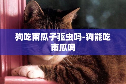 狗吃南瓜子驅蟲嗎-狗能吃南瓜嗎