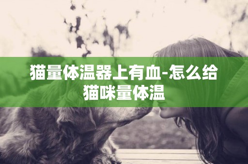 貓量體溫器上有血-怎么給貓咪量體溫