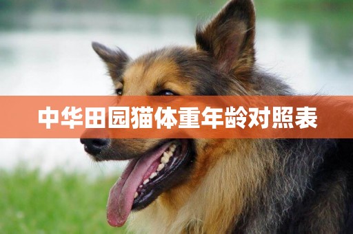 中華田園貓體重年齡對照表