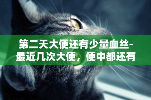 第二天大便還有少量血絲-最近幾次大便，便中都還有血，前幾次少量血絲，以為上火，今天挺多，挺嚇人，怎么