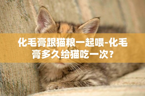 化毛膏跟貓糧一起喂-化毛膏多久給貓吃一次？