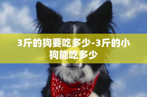 3斤的狗要吃多少-3斤的小狗能吃多少