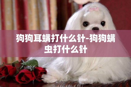 狗狗耳螨打什么針-狗狗螨蟲打什么針