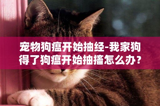 寵物狗瘟開始抽經-我家狗得了狗瘟開始抽搐怎么辦？