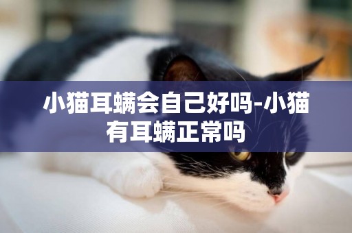小貓耳螨會自己好嗎-小貓有耳螨正常嗎