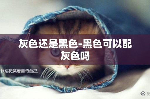 灰色還是黑色-黑色可以配灰色嗎