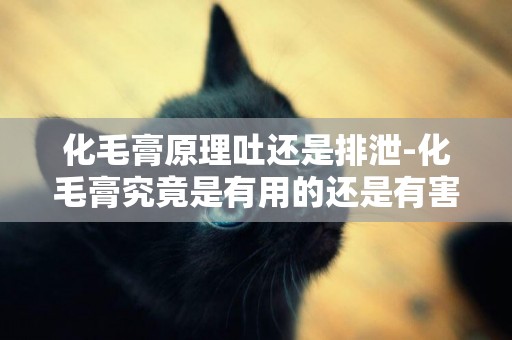 化毛膏原理吐還是排泄-化毛膏究竟是有用的還是有害的？
