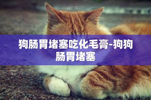 狗腸胃堵塞吃化毛膏-狗狗腸胃堵塞