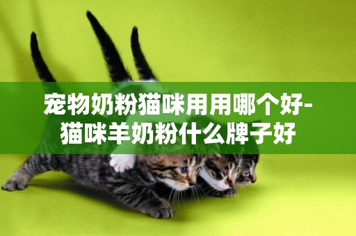 寵物奶粉貓咪用用哪個好-貓咪羊奶粉什么牌子好