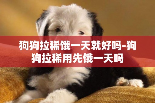 狗狗拉稀餓一天就好嗎-狗狗拉稀用先餓一天嗎