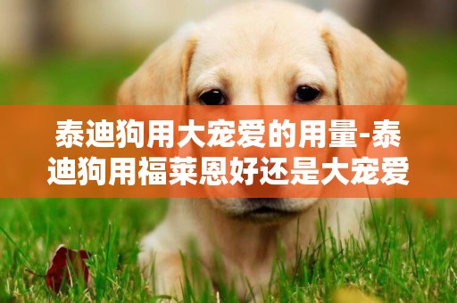 泰迪狗用大寵愛的用量-泰迪狗用福萊恩好還是大寵愛好
