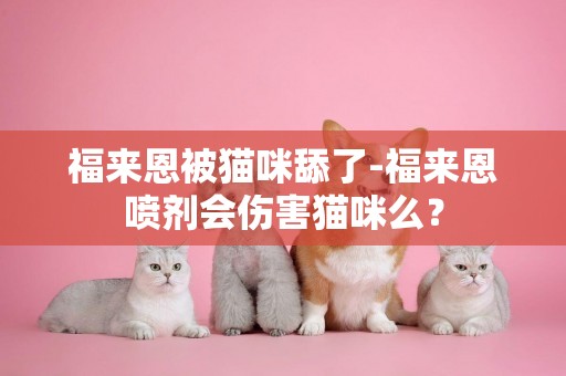 福來恩被貓咪舔了-福來恩噴劑會傷害貓咪么？