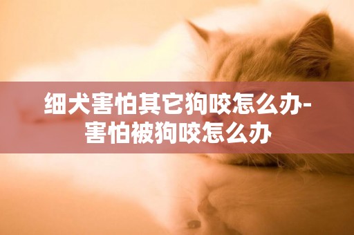 細犬害怕其它狗咬怎么辦-害怕被狗咬怎么辦