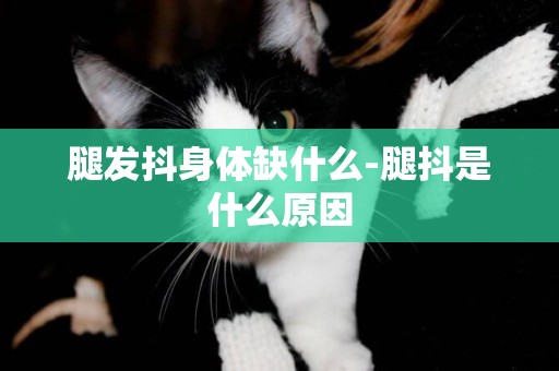 腿發抖身體缺什么-腿抖是什么原因