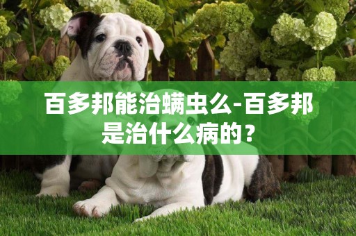百多邦能治螨蟲么-百多邦是治什么病的？