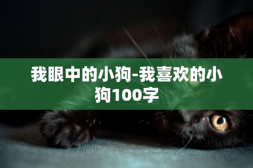 我眼中的小狗-我喜歡的小狗100字