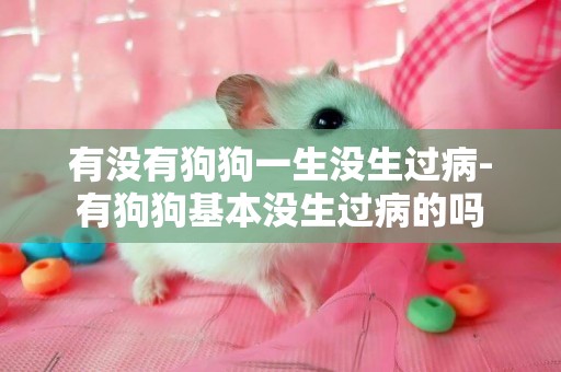 有沒有狗狗一生沒生過病-有狗狗基本沒生過病的嗎