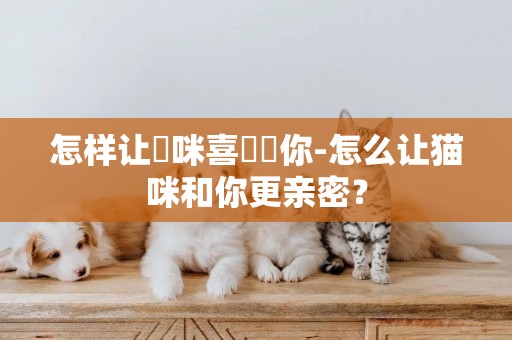 怎樣讓貓咪喜歡親你-怎么讓貓咪和你更親密？