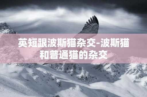 英短跟波斯貓雜交-波斯貓和普通貓的雜交