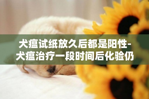 犬瘟試紙放久后都是陽性-犬瘟治療一段時間后化驗仍為陽性