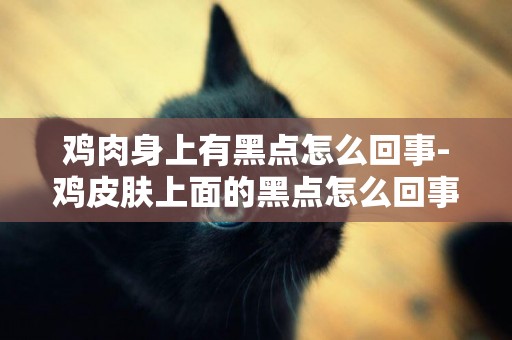 雞肉身上有黑點怎么回事-雞皮膚上面的黑點怎么回事？