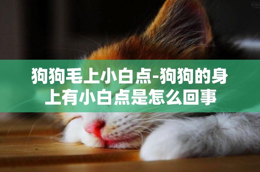狗狗毛上小白點-狗狗的身上有小白點是怎么回事