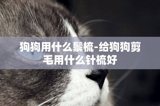 狗狗用什么鬃梳-給狗狗剪毛用什么針梳好
