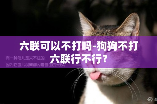 六聯可以不打嗎-狗狗不打六聯行不行？