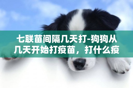 七聯苗間隔幾天打-狗狗從幾天開始打疫苗，打什么疫苗，隔幾天打一次？講詳細點