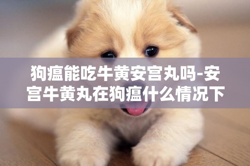 狗瘟能吃牛黃安宮丸嗎-安宮牛黃丸在狗瘟什么情況下吃