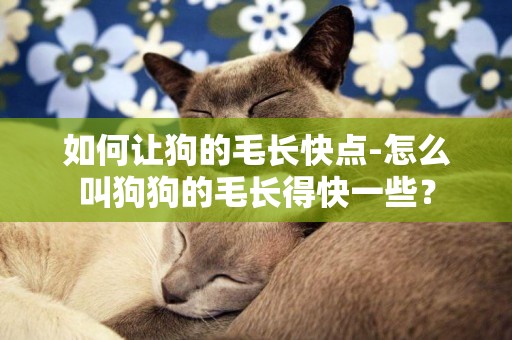 如何讓狗的毛長快點-怎么叫狗狗的毛長得快一些？