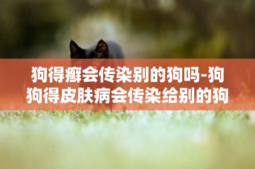 狗得癬會傳染別的狗嗎-狗狗得皮膚病會傳染給別的狗嗎