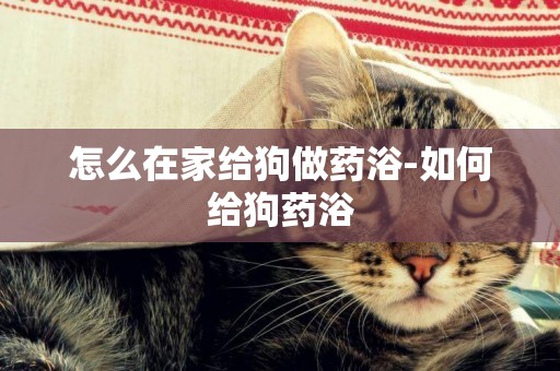 怎么在家給狗做藥浴-如何給狗藥浴