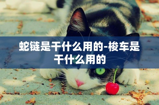 蛇鏈是干什么用的-梭車是干什么用的