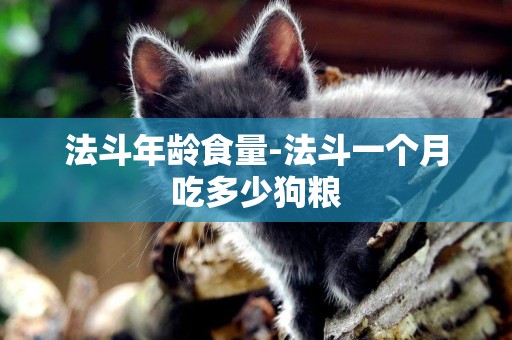 法斗年齡食量-法斗一個月吃多少狗糧