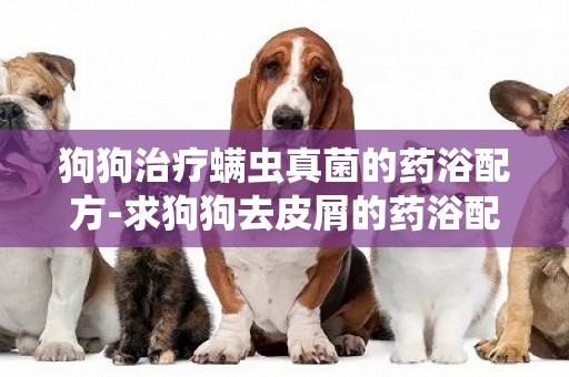 狗狗治療螨蟲真菌的藥浴配方-求狗狗去皮屑的藥浴配方