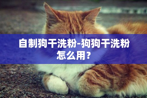 自制狗干洗粉-狗狗干洗粉怎么用？