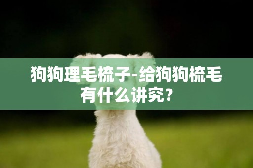 狗狗理毛梳子-給狗狗梳毛有什么講究？