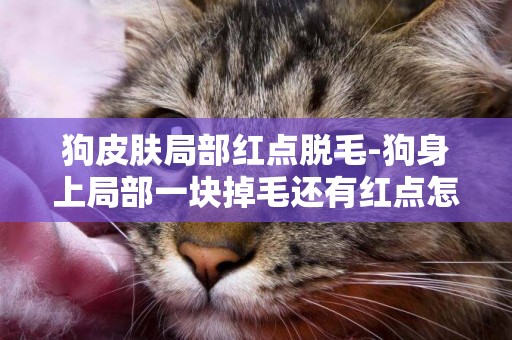 狗皮膚局部紅點脫毛-狗身上局部一塊掉毛還有紅點怎么辦？