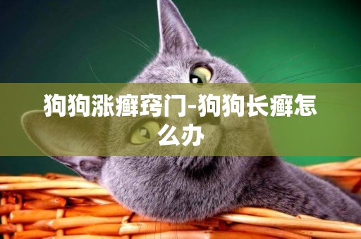 狗狗漲癬竅門-狗狗長癬怎么辦