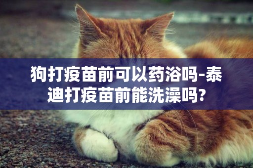 狗打疫苗前可以藥浴嗎-泰迪打疫苗前能洗澡嗎?