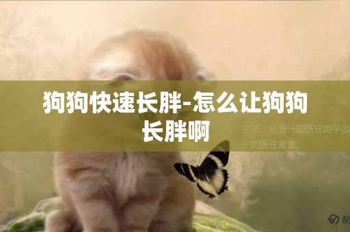 狗狗快速長胖-怎么讓狗狗長胖啊