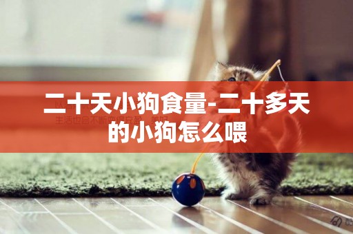 二十天小狗食量-二十多天的小狗怎么喂