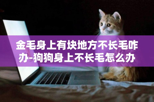 金毛身上有塊地方不長毛咋辦-狗狗身上不長毛怎么辦
